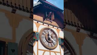 The Worlds Largest Cuckoo Clock with Cuckoo SoundGuinness World Record  Schonachbach Triberg [upl. by Lesoj]