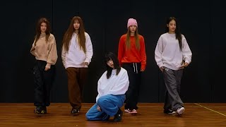 NewJeans  OMG Dance Practice Mirrored 4K [upl. by Melamie]