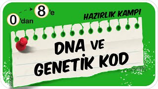 DNA ve Genetik Kod 📗 0dan 8e Hazırlık Kampı 2024 🚀 [upl. by Irme]