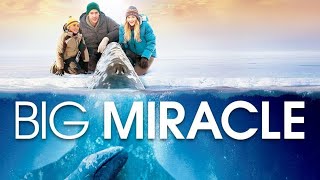 Big Miracle Full Movie Fact in Hindi  Review and Story Explained  Drew Barrymore [upl. by Aruat]