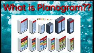 What is Planogram  An Introduction to Visual Merchandising [upl. by Aicilyhp]