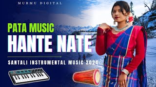 HANTE NATE  SANTALI PATA  INSTRUMENTAL MUSIC VIDEO SONG 2024 MURMU DIGITAL [upl. by Janeen]