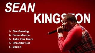 quotVibin with Sean Kingston Hits That Ignite Your Soulquot [upl. by Lander]