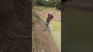 How will I put topsoil here landscaping permaculture woodland ponds motivation ideas mud [upl. by Florette]