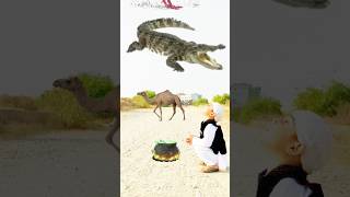 Halal and Haram islamicvideo shortvideo [upl. by Suzann]