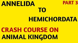 CHARTNCERTCrash CourseClass 11Animal KingdomAnnelida to Hemichordata Part3NEETAIIMS [upl. by Moersch]