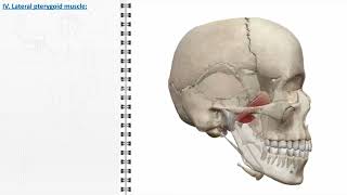 Masticatory muscles [upl. by Tloc]