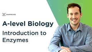 Introduction to Enzymes  Alevel Biology  OCR AQA Edexcel [upl. by Nidnerb]