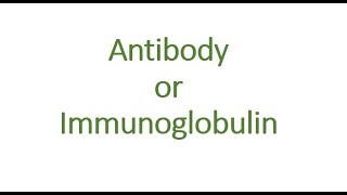 ANTIBODYIMMUNOGLOBULINS MALAYALAM [upl. by Nelehyram171]