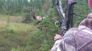 The best archery shots on video bowhunting  StuckNtheRut [upl. by Glenn864]