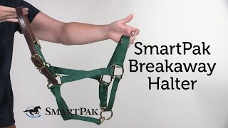 SmartPak Breakaway Halter Review [upl. by Llenyl]