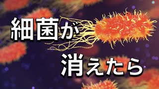 【驚愕】もし世界から細菌が消えたら何が起こるのか [upl. by Aliab]