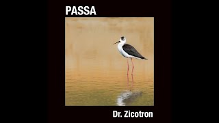 PASSA  Migratory Birds of Malta [upl. by Fital]