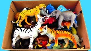 Lot of Wild Animals for Kids with Real Safari Animal Videos [upl. by Farr]