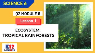 Science 6 Quarter 2 Module 6 Lesson 1  Ecosystem Tropical Rainforests [upl. by Nelrac]