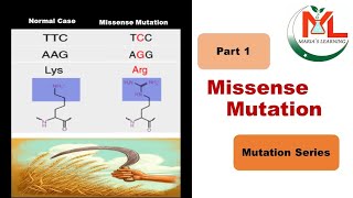 Missense Mutation  NonSynonymous Mutation  Its types and examples [upl. by Ralfston]