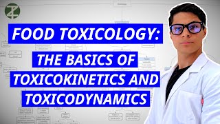 Food Toxicology Explained Toxicokinetics amp Toxicodynamics [upl. by Eikram]