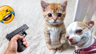 The Funniest Dogs and Cats Videos 2024 To Crack You Up All Long Day 2 [upl. by Estis]