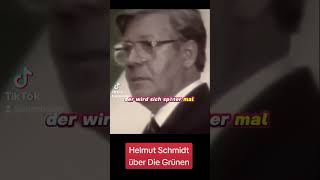 Helmut Schmidt  Wer Die Grünen WÄHLT  Der wird sich Vorwürfe machen  Eure Meinung WTF  OMG [upl. by Stefa658]