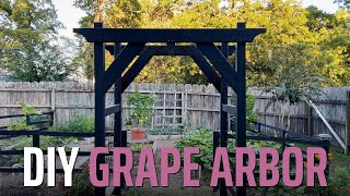 DIY Grape Arbor Archway thats ACTUALLY Easy and Inexpensive [upl. by Francisco]