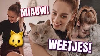 CAMILLE HEEFT EEN KAT  MEER ZOTTE WEETJES [upl. by Lily]