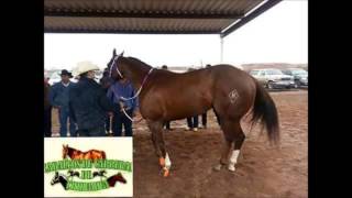 LA TEXANA  EL ALACRAN VALENZUELA  CORRIDOS 2015 [upl. by Lune]