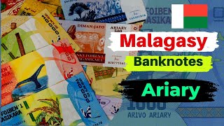 Malagasy Ariary  currency of Madagascar  Madagascar Ariary  Sandambola  Currency of the world [upl. by Manville922]