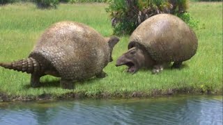 Ice Age Giants  Glyptodon Fight [upl. by Vida]