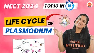 Life Cycle of Plasmodium in 10 Minutes  NEET 2024  2025 Biology  Amrita Maam [upl. by Karlow]