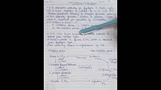 77 Hexose mono phosphate HMP Pathway  HMP shunt biology pharmacy chemistry science [upl. by Alayne981]