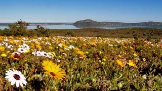 Bakoor Hiking Trail in the West Coast National Park near Langebaan [upl. by Saree]