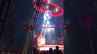 Cirkus Humberto  Duo Warriors [upl. by Allevon]