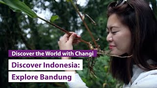 Discover Indonesia Explore Bandung with The Smart Local [upl. by Natie]