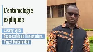 Lentomologie expliquée  Lakamy Sylla [upl. by Ahseetal909]