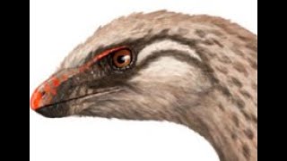 Lesothosaurus Fleet footed Ornithischian from Early Jurassic Southern Africa [upl. by Eelyrehc]