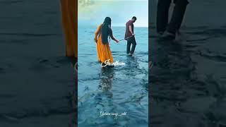 Usurae poguthey song 🎵 tamilsonglyrics tamillovesonglyrics [upl. by Aicilyt]