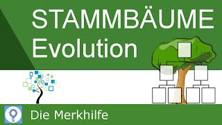 Stammbäume erstellen amp verstehen  Prinzipien der Stammbaumentwicklung  Evolution 22 [upl. by Cissej]