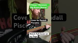 Randall’s Bass Cover Primus“Wynona’s Big Brown Beaver” [upl. by Heinrick251]