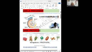 BSC1011L MODULEI ORGANISMAL BIOLOGYSYSTEMATICS ALGAE NONVASCPLANTAE [upl. by Faun]