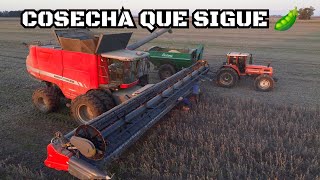 Seguimos COSECHANDO con BARRO  LAVANDO el JOHN DEERE y el ASCANELLI [upl. by Kerk]