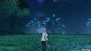 PSO2 NGS Million Meseta Mid Night Grind [upl. by Guyer296]