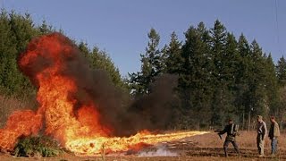 Flamethrower vs Spider Trench [upl. by Bazil]