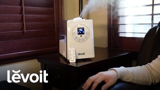 Levoit  Hybrid Ultrasonic Humidifier LV600HH [upl. by Bar645]