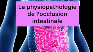 📍La physiopathologie de locclusion intestinale expliquée par khadidja ferdj 🔥 [upl. by Hinda]