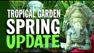 Tropical garden spring update [upl. by Yul]