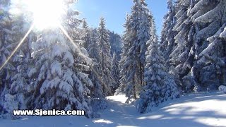 KAD MAGLA PROGUTA SJENICU  POGLED SA SUNČANOG JADOVNIKA KATUNIĆE NA PEŠTER  JANUAR 2017 [upl. by Eekram]