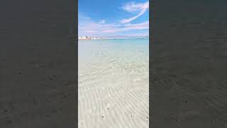 POETTO CAGLIARI ORE 14 💙🏖️Sardegna sardiniatravelshortvideo travel sardiniansea beach summer [upl. by Carmelia379]