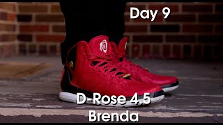 Adidas DRose 45 Brenda Review [upl. by Maxwell724]