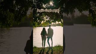 Jagjit singh gazal love gazal viralvideo love viralshort song trending [upl. by Iteerp]