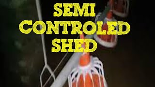 SEMI CONTROL SHED layer farming [upl. by Neddie]